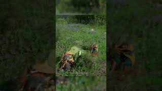 붉은사막이 무협게임인 이유