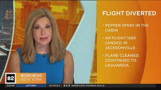 Flight to NYC diverted after pepper spray goes off