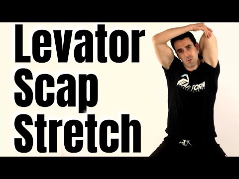 Levator Scapulae Stretch for Neck Pain Relief | San Diego Chiropractic