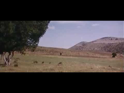 Il Buono, il Brutto, il Cattivo - Regia di Sergio Leone (1966) - Scena finale