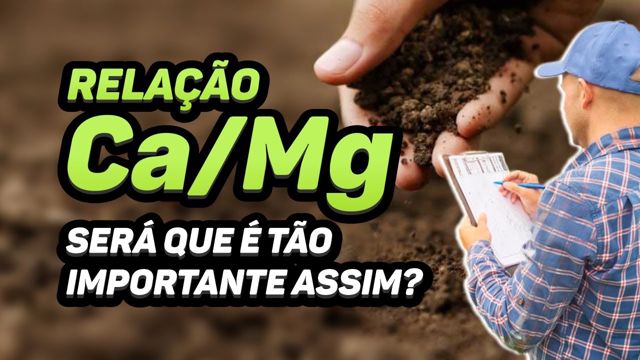 RELAÇÃO Ca/Mg - COMO MANTER SEMPRE EQUILIBRADA