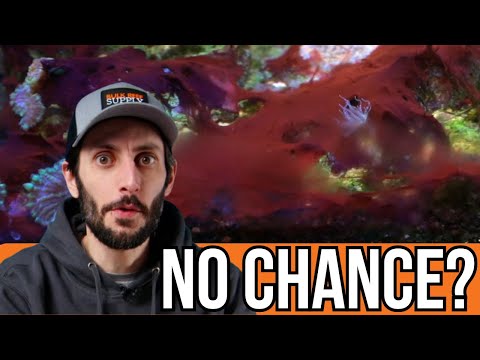 Help! I Wrecked My Tank Ep. 5 - Tackling Cyanobacteria