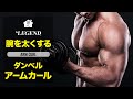 【筋トレ】太い二の腕を作る 腕のトレーニング | ダンベル・アームカール【ビーレジェンド プロテイン】