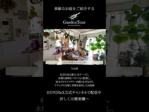 スイミングプールの輪郭を配置する方法 木材 植物 庭の木 自然