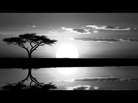 Ny Diany Fiainana | The Cycle of Life – A Cinematic Story of the Human Soul