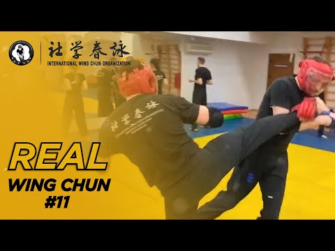 Wing Chun vs MMA stand-up fight | Real Wing Chun #11