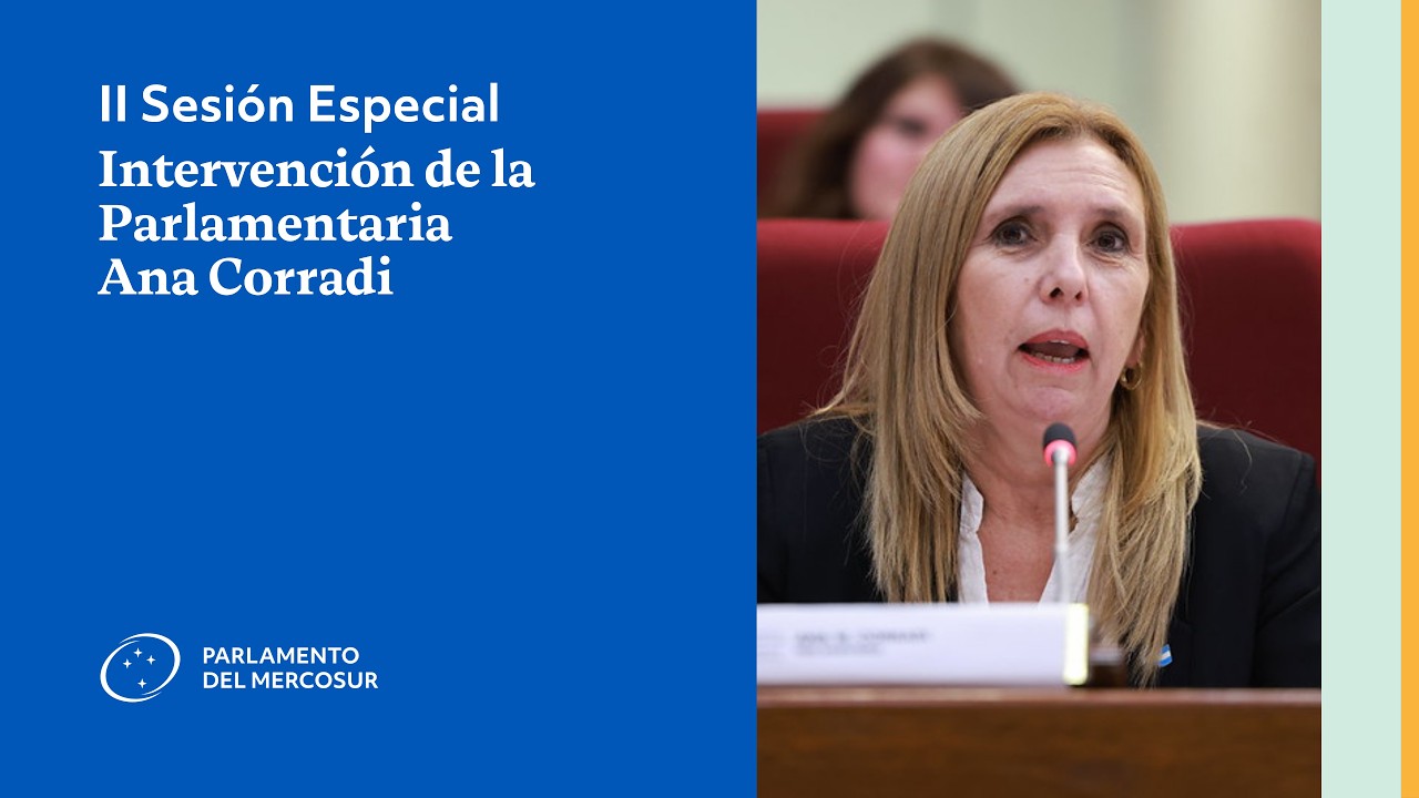 Intervención de la Parlamentaria Ana Corradi - CVIII Sesión Plenaria