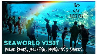 Visit Seaworld, Gold Coast, Queensland - Polar Bears, Jellyfish, Penguins & Sharks