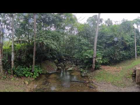 Aldeia Guarani Mbyá - Canelinha -Santa Catarina.06