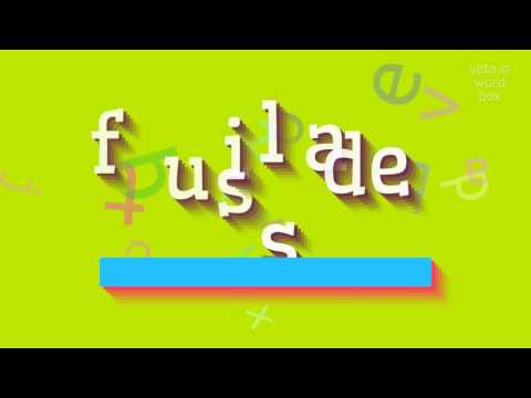 HOW TO SAY FUSILADES? #fusilades