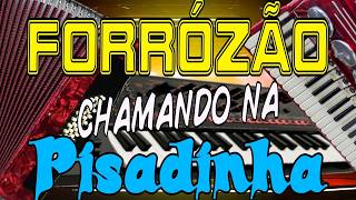 Forrózão chamando na pisadinha, forró, dance, xote, vanerão, song, brazil, korg, yamaha sx600