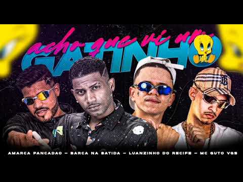 EU ACHO QUE VI UM GATINHO - BARCA NA BATIDA, LUANZINHO DO RECIFE, AMARCA PANCADÃO, MC GUTO VGS