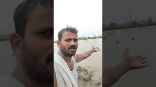 Download lagu Niru niru raitu kanta niru #shorts mp3 Download lagu Niru niru raitu kanta niru #shorts mp3