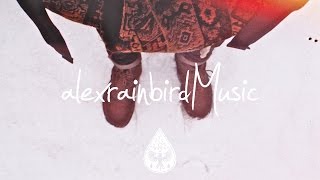 The Lunar Year - Porcelain