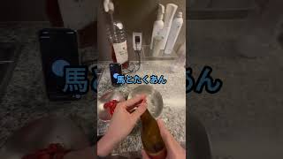月3.6万円課金してるプライドが高いAI #chatgpt #ai育成 #こんびにこ #うま確