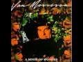 Van Morrison - A New Kind of Man