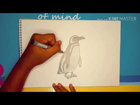 Sketch & Draw - Jinjing The Penguin