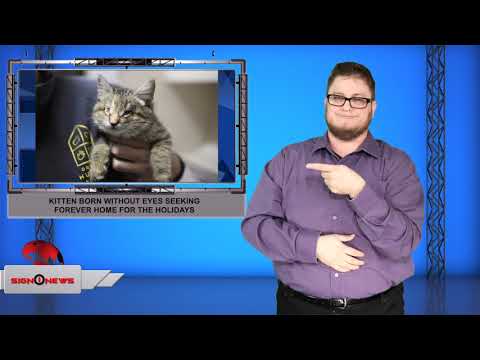 Sign1News 12.14.19 - News for the Deaf community powered by CNN in American Sign Language (ASL).