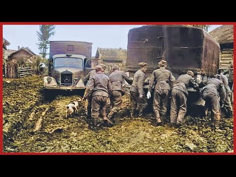 The Logistics Nightmare That Ended Operation Barbarossa: Trucks, Trains & 750,000 Horses