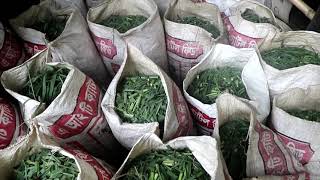 যুব উদ্যোক্তা