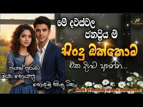 2026 හොඳම සිංහල සිංදු එක දිගටම  | Best Sinhala Songs | #2026 Trending Songs | E D M Cover