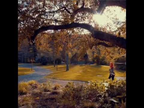 Thrown Down The Roses - Kate Pierson