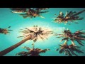 Vinyl Pinups - Gold Rays 