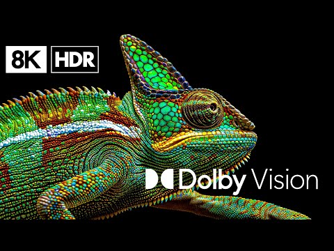 ULTRA SHARP 8K DOLBY VISION™ (60 FPS)