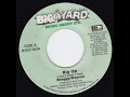 BIG UP RIDDIM 1992 ( MIX ) Recallig Reggae Music