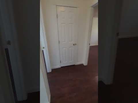 Large 2 Bedroom in Chocolate Drop property video