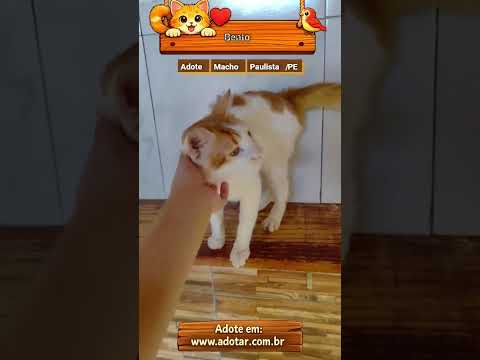 Vídeo de Bento