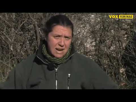 Farma koza 'Drijade'   Hela Liverić