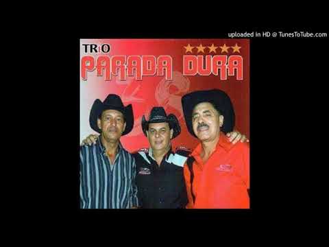 Borboleta Colorida - Trio Parada Dura