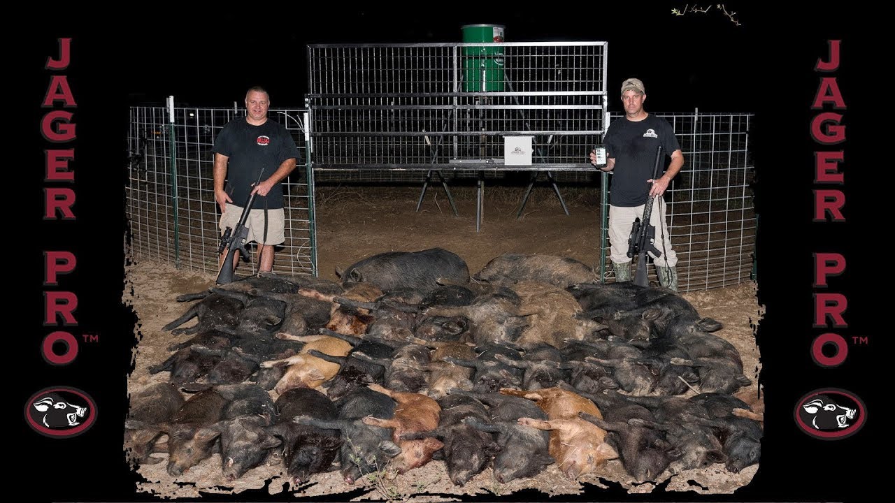 Wild Hog Trapping | (28) Using Integrated Wild Pig Control™ For Wild Hog Control | JAGER PRO™