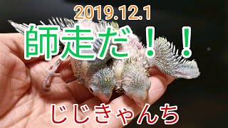 今年もあと一か月🐣