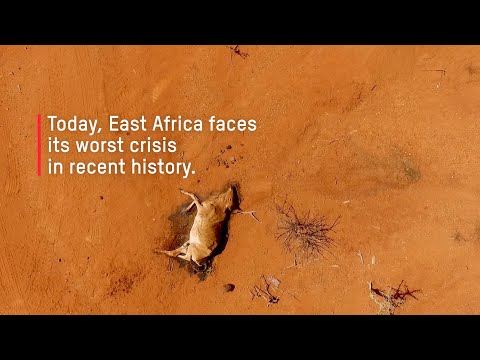 Oxfam Dangerous Delays: East Africa Acute Hunger