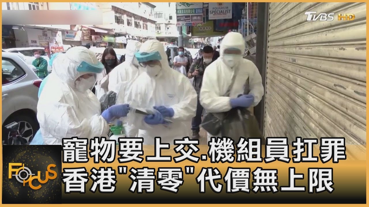 寵物要上交.機組員扛罪 香港「清零」代價無上限