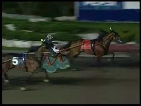 EQUINOX BI - Maple Leaf Trot 2007