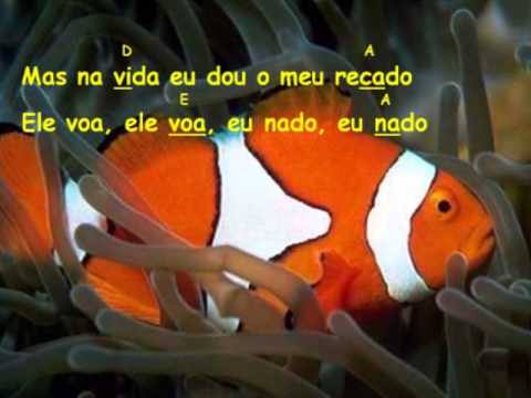 O Passarinho E O Peixinho - Música Espírita