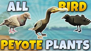 ALL BIRD PEYOTE PLANT LOCATIONS GTA 5 STORY MODE