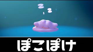 #7 今日の【ぽこポケ】