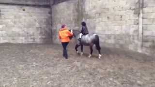 Archie Trimble.  Age 4 years, 4 legs instead of 4 wheels , part 1