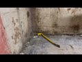 Basement Waterproofing and Dehumidification Project