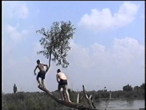 Sarituri din copac, Plopi 2001