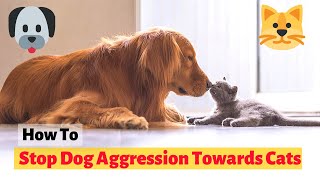 How to Stop Dog Aggression Towards Cats