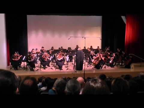 Prelude String Orchestra - Allegro Gustoso