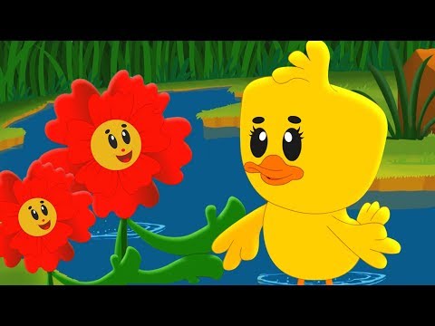 Papaveri E Papere | Italiano Canzone | Canzoni Per Bambini | Nursery Rhymes