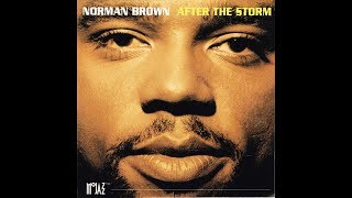 NORMAN BROWN   It Costs To Love     R&B