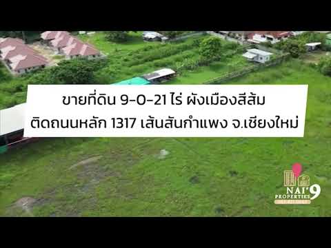 ที่ดินผังส้มแปลงสี่เหลี่ยมสวย ติดถนนหลัก 1317 เนื้อที่ 9-0-21 ไร่ สันกำแพง จ.เชียงใหม่, เชียงใหม่, ชม.1317, แช่ช้าง, สันกำแพง, เชียงใหม่, 14,484 ตร.ม., ที่ดิน ขาย, โดย หทัยรัตน์ จรัสอุไรสิน, 500435714 - DDproperty.com