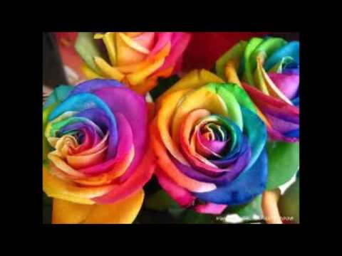 Lenny G and Sergey Set 17